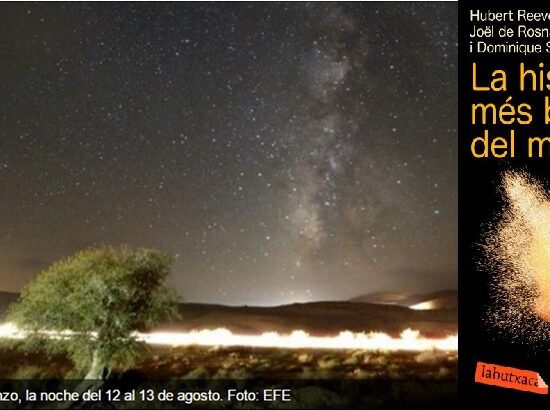 Llorando con las Perseidas