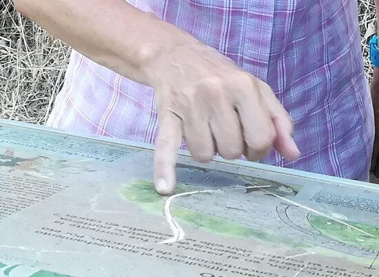 ¿Rechazar por sistema las notas?