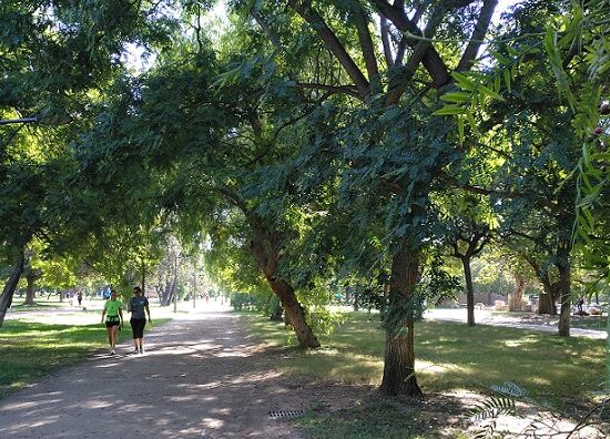 Corriendo en València